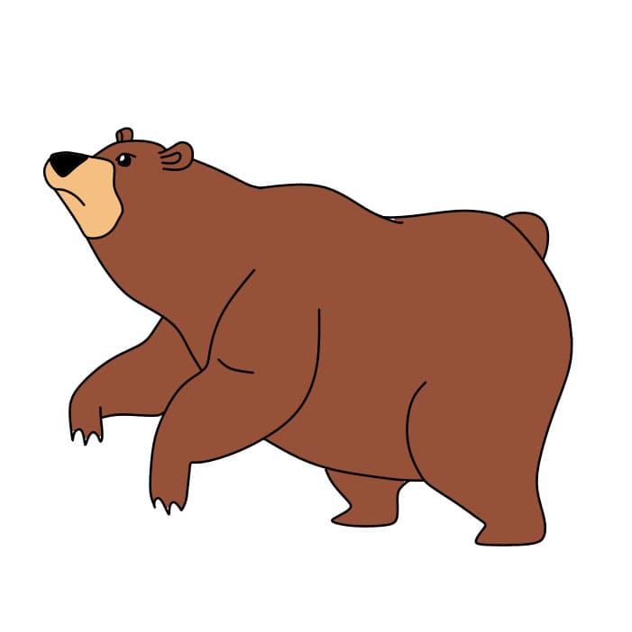 disegni di Come-disegnare-un-orso-passo8-4
