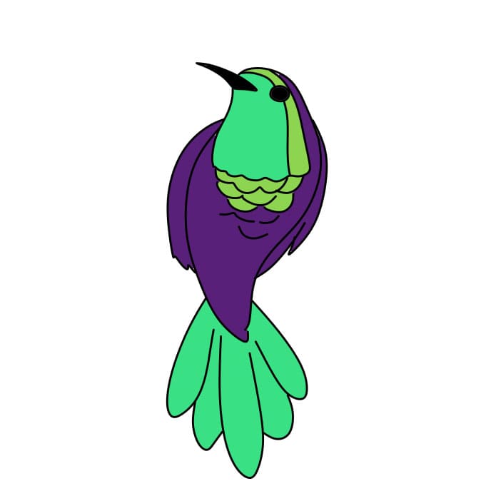 disegni di Come-disegnare-un-colibri-Passo-8-9