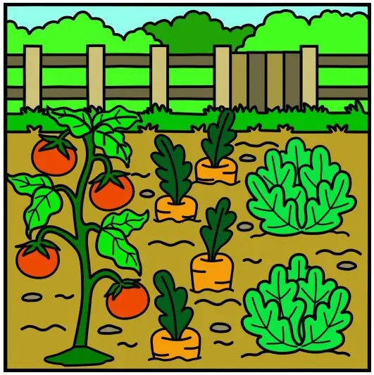 disegni di Il Giardino