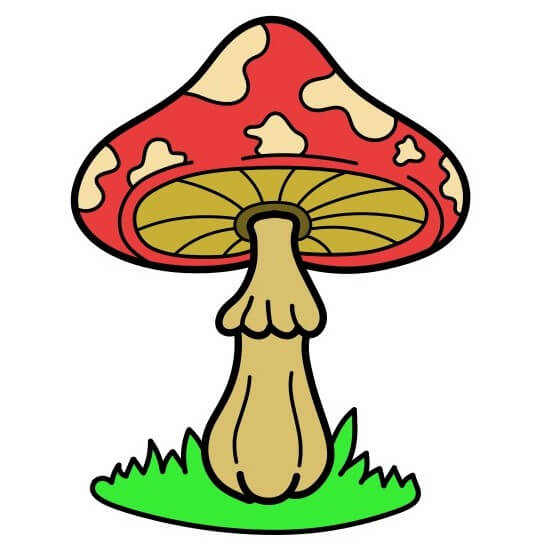 disegni di Mushroom-7-9